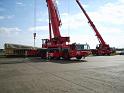 S8000869